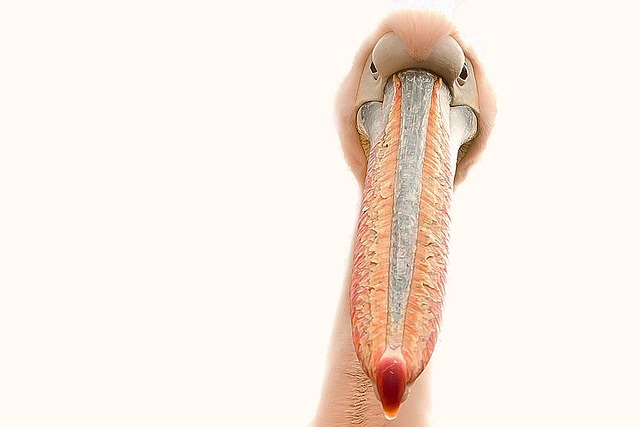 Jak skleić paznokcia hybryda?