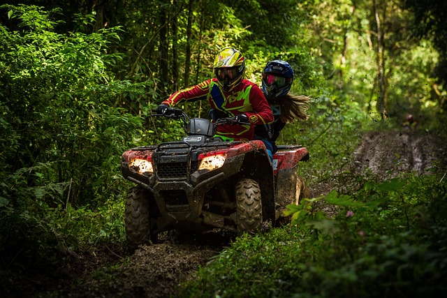 Jaki quad na wieś? Jaki quad na wieś?