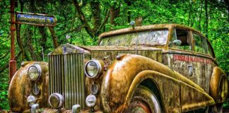 Czy warto kupować marki premium?