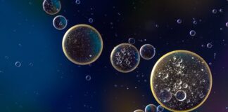 Ile oleju wchodzi do 1.3 MPI?