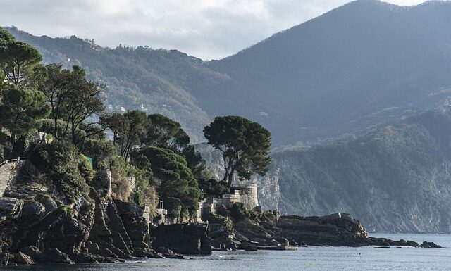 Ile kosztuje 3 letnia Skoda?