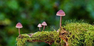 Jak prać gąbki polerskie?