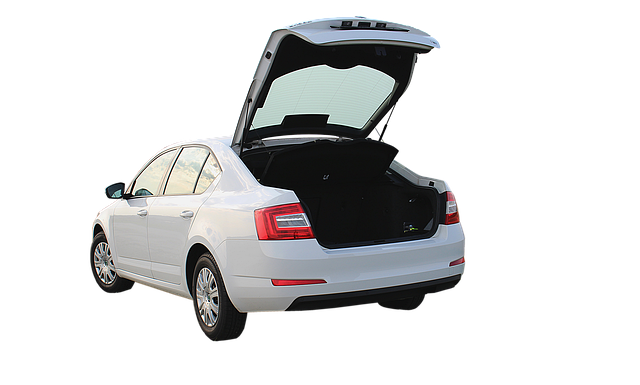 Jaki segment Skoda Fabia?