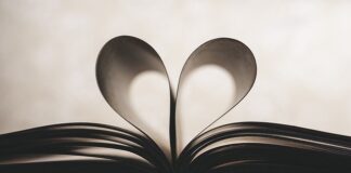 Co oznacza symbol Skody?